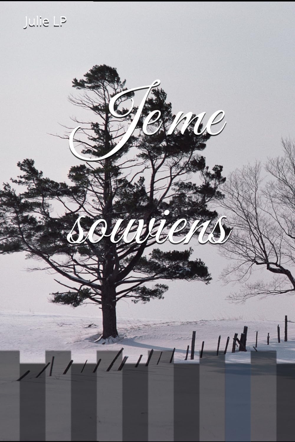 Je me souviens: Les souvenirs font du bruit