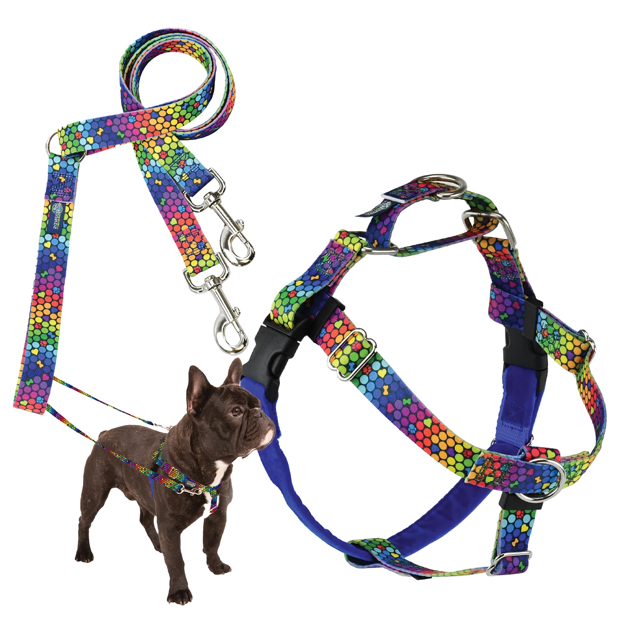 2 Hounds Design - Freedom No-Pull Harness & Training Leash in Blue and Rainbow | Dual Leash Loops, No Pulling on Walks | Lined to Prevent Chaffing |