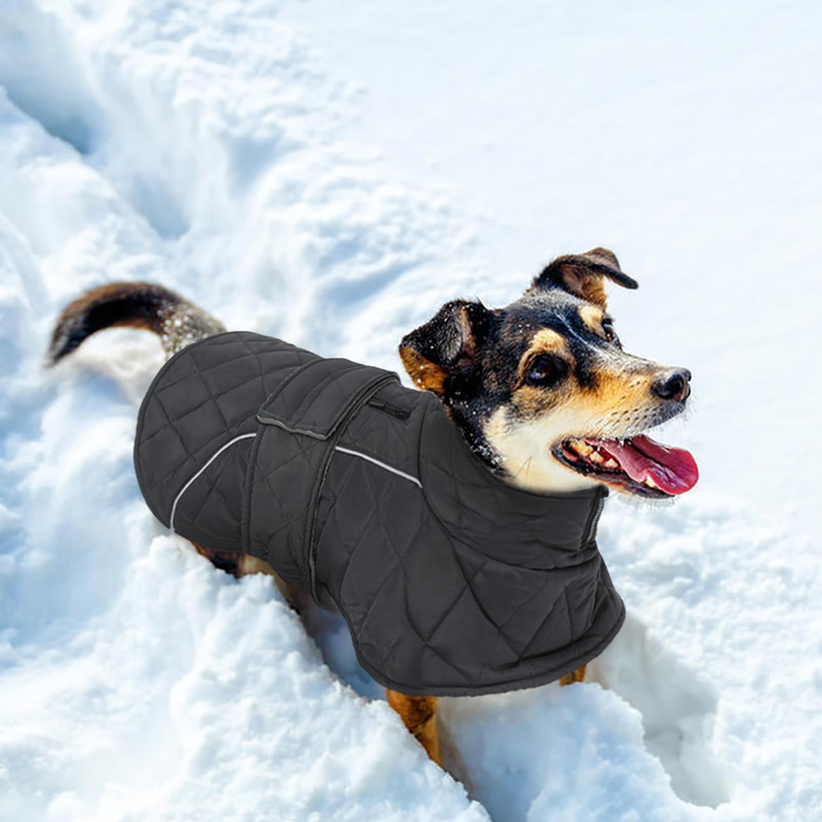 Kuoser - Cappotto impermeabile per cani XXX-Large, caldo gilet in pile con foro per pettorina con cerniera, facile da indossare con nastro magico, antivento, cappotto invernale per cani per
