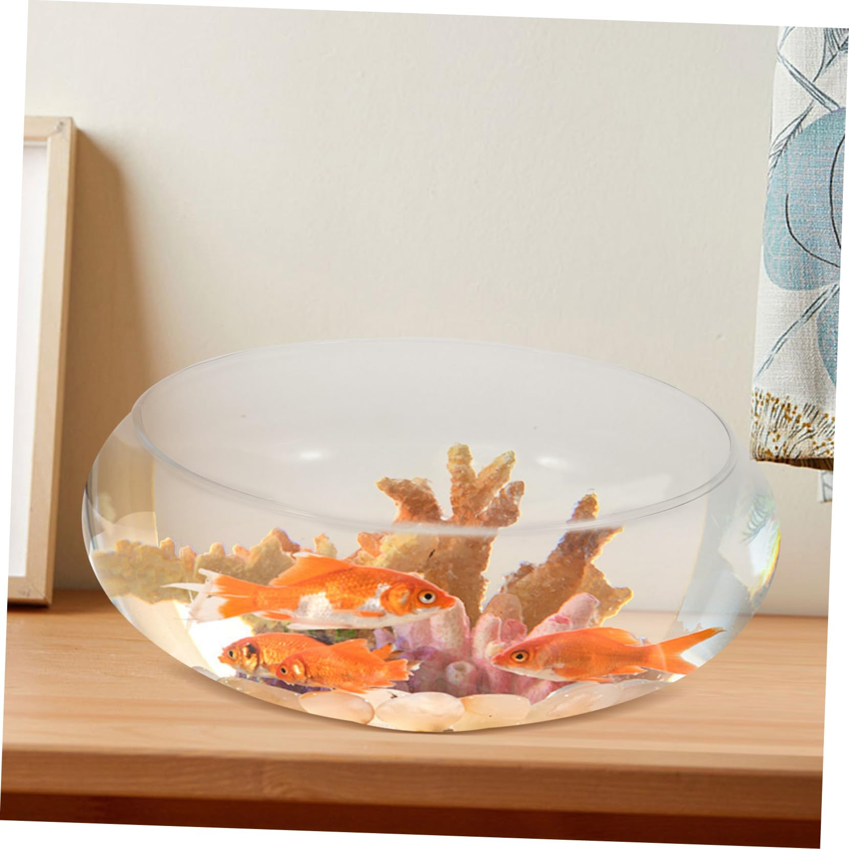 Pecera de Vidrio para Escritorio Pecera Pequeña Maceta Hidropónica para Plantas Pecera Decorativa para El Hogar