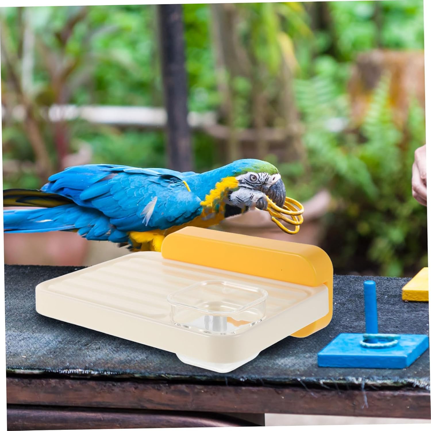 Balacoo Bird Cage Platform with Removable Cup Plastic Perch Stand for Small Birds Feeding Station for Parakeets and Cockatiels Easy to Install and Clean