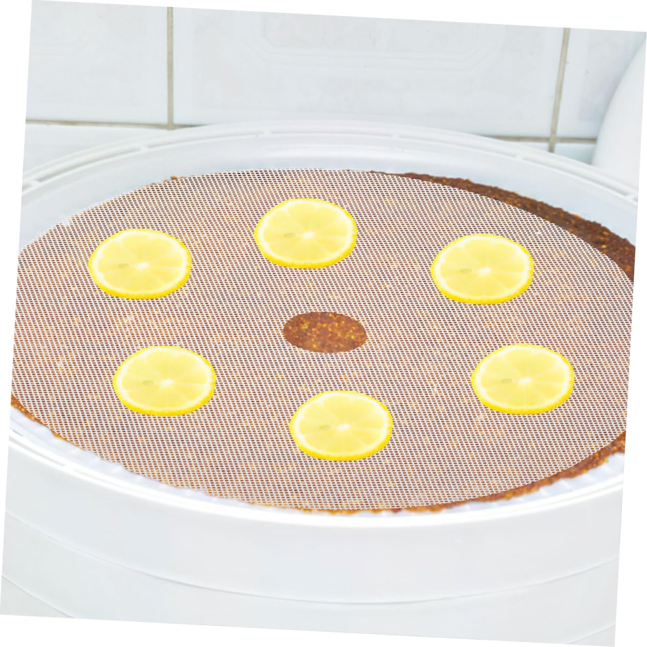 Cabilock 5 Juegos Alfombrilla Secadora De Frutas Food Dehydrator Fuerza Deshidratando Manzana Aparato Almohadillas Deshidratadoras Forro Para Secador De Alimentos Gel De Sílice 2 Piezas * 5