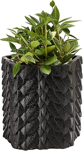 Miniatura 8 de Dragon Scales - Maceta y decantador  GOT, Fantasy I Plant and I Know Things  Jarrón de flores color mármol blanco de 6 pulgadas  Dragón Monster