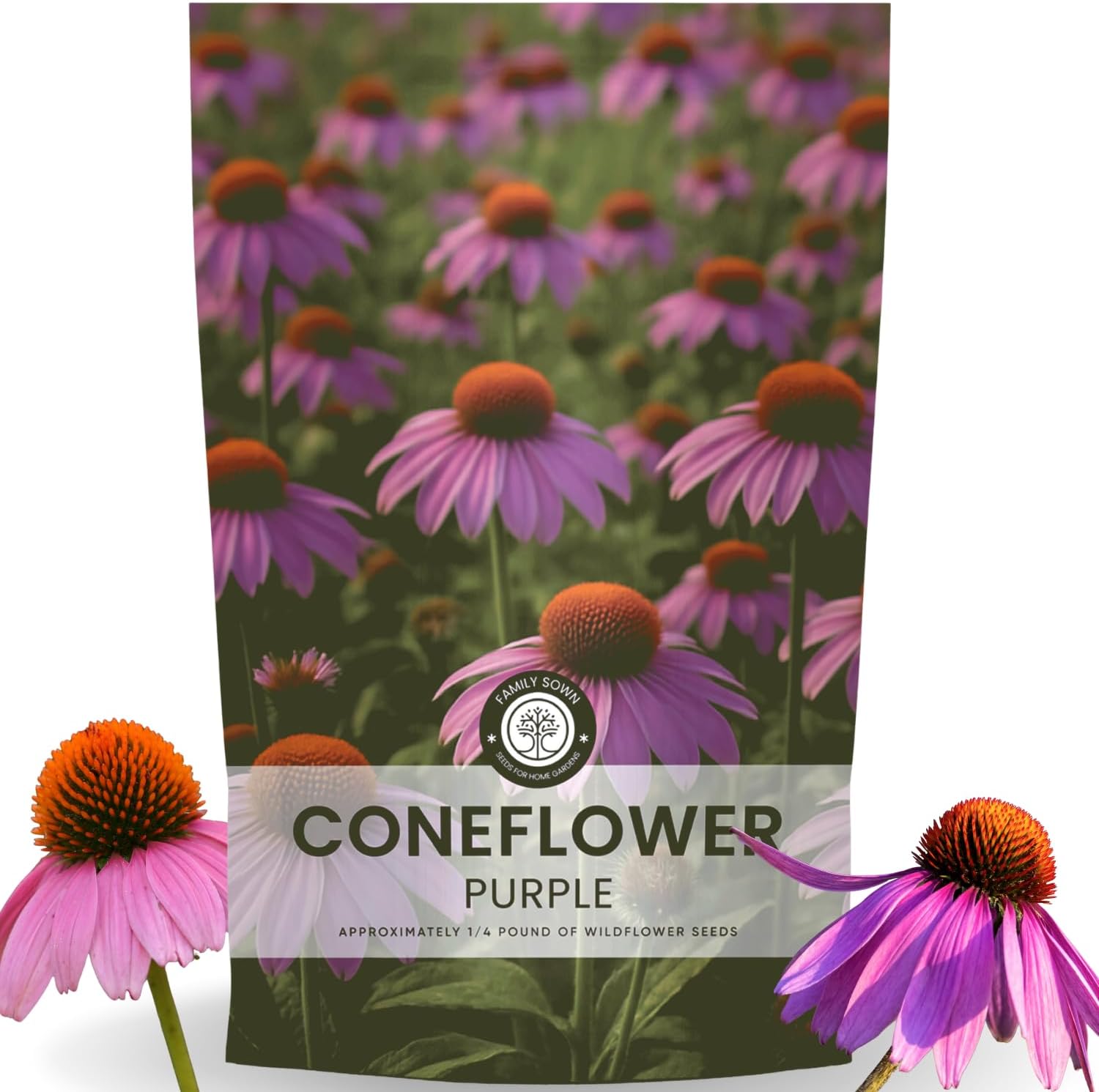 Purple Coneflower – 28,000 Seeds for Planting – 2026 Season – 4 Ounce Pouch