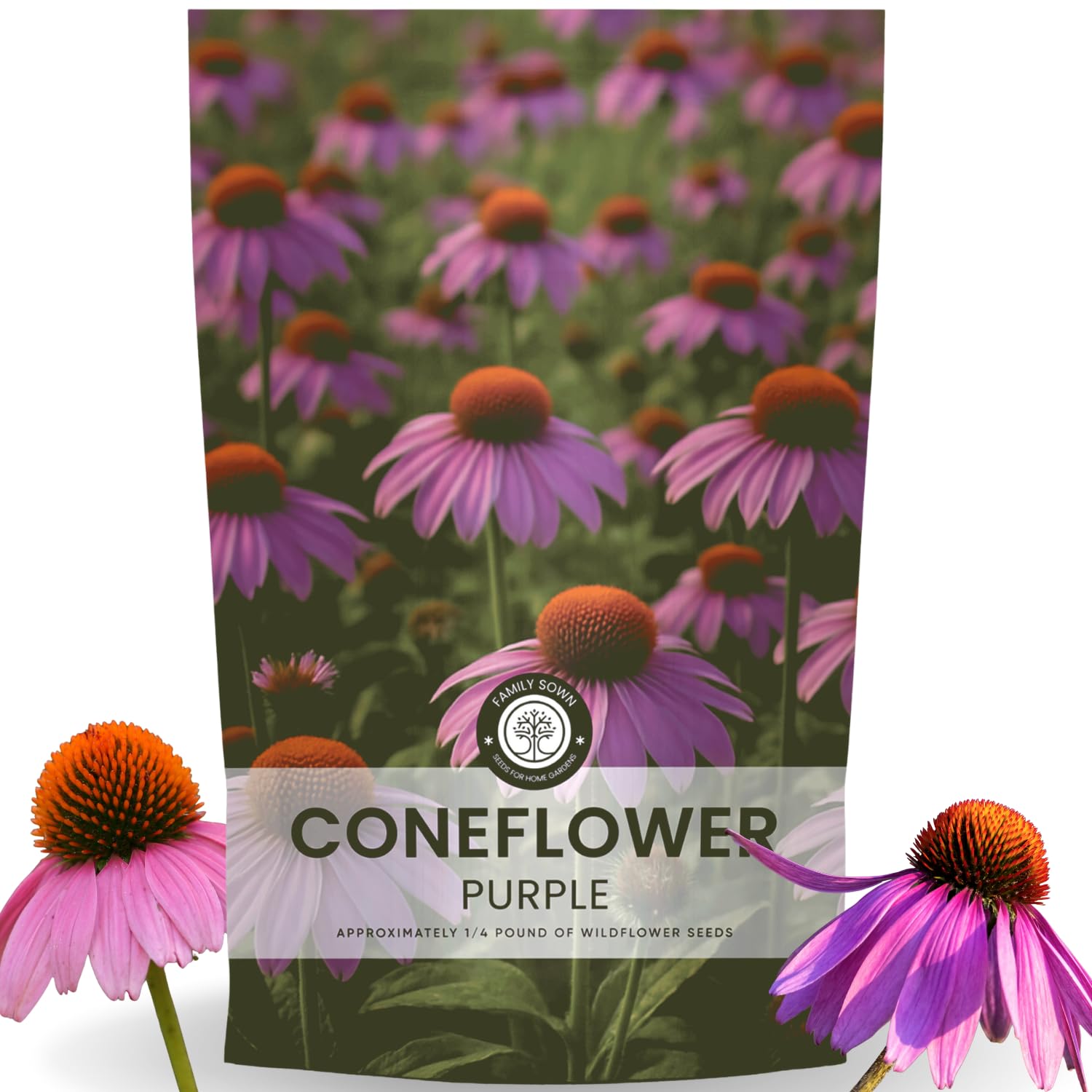 Purple Coneflower 28,000 Seeds