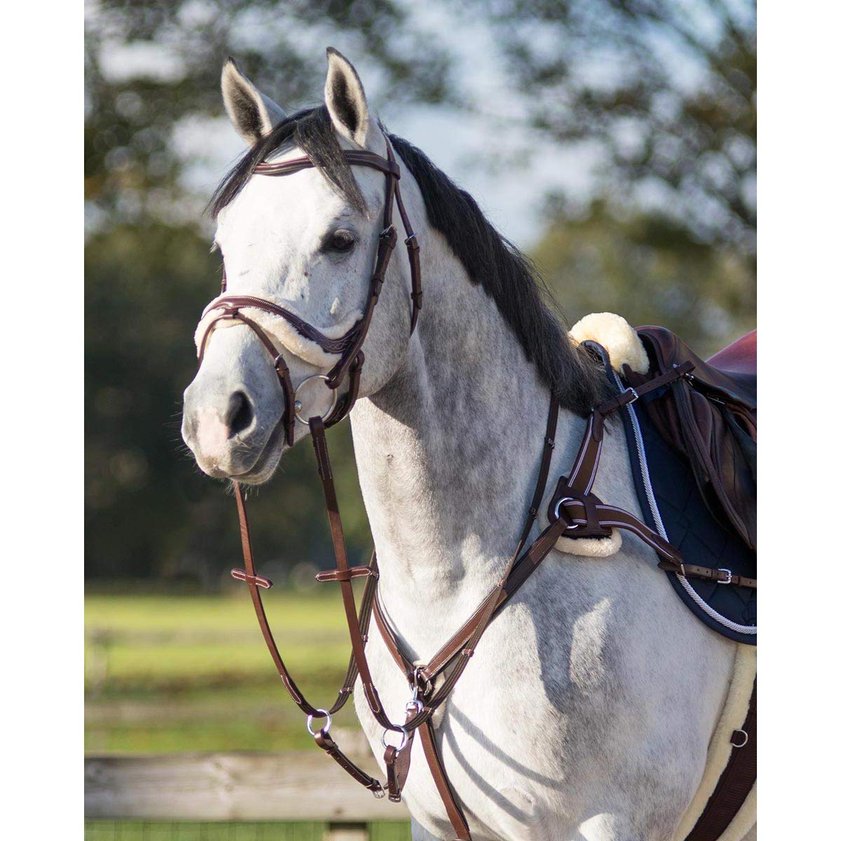 QHP Collier de Chasse Ontario - Marron - COB