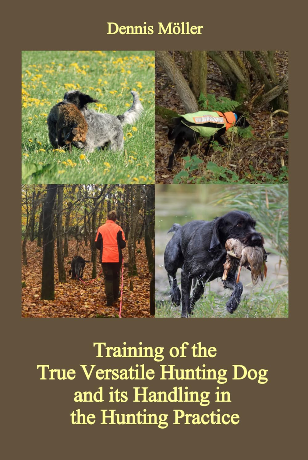 Training of the True Versatile Hunting Dog and its Handling in the Hunting Practice: Pointing, Retrieving, Flushing, Blood Tracking
