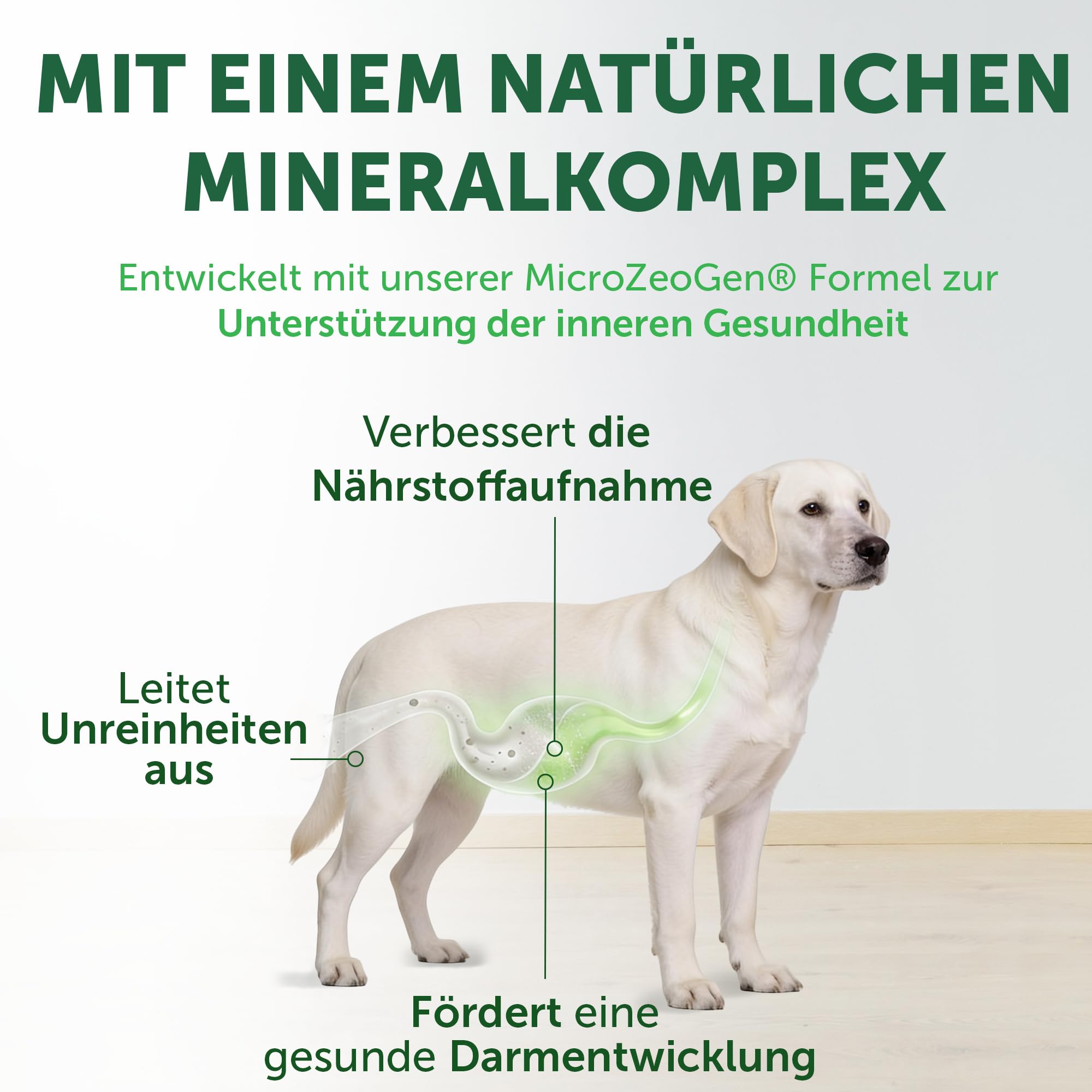 Nature's Protection Superior Care White Dog Getreidefrei Trockenhundefutter Für alle Größen und Lebensphasen Hund Mit Weißfischmehl Größere Brocken 4kg