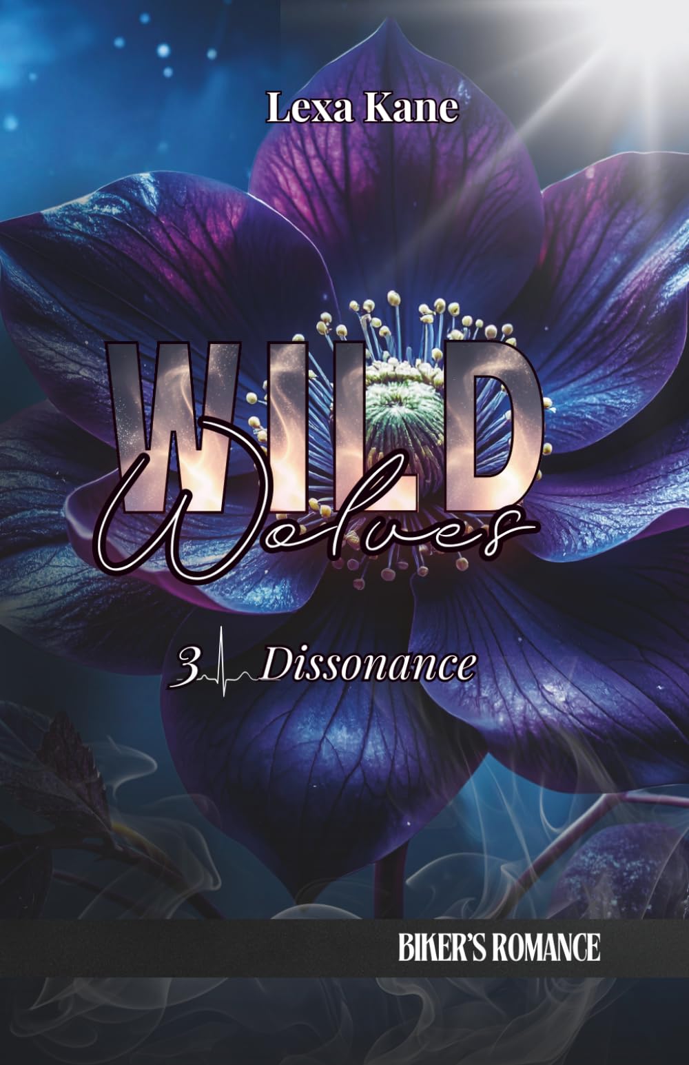 Wild Wolves: 3 - Dissonance (Romance Biker)