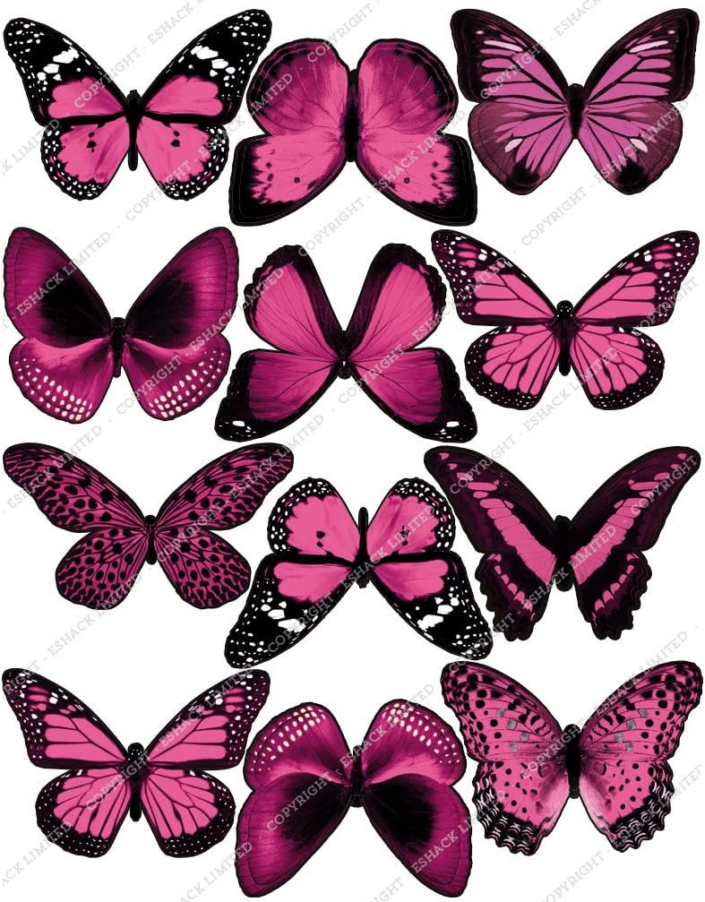 Topper Per Torta Commestibile O Cialda Da 19,1 Cm Con Cornice Musicale - Foto 14