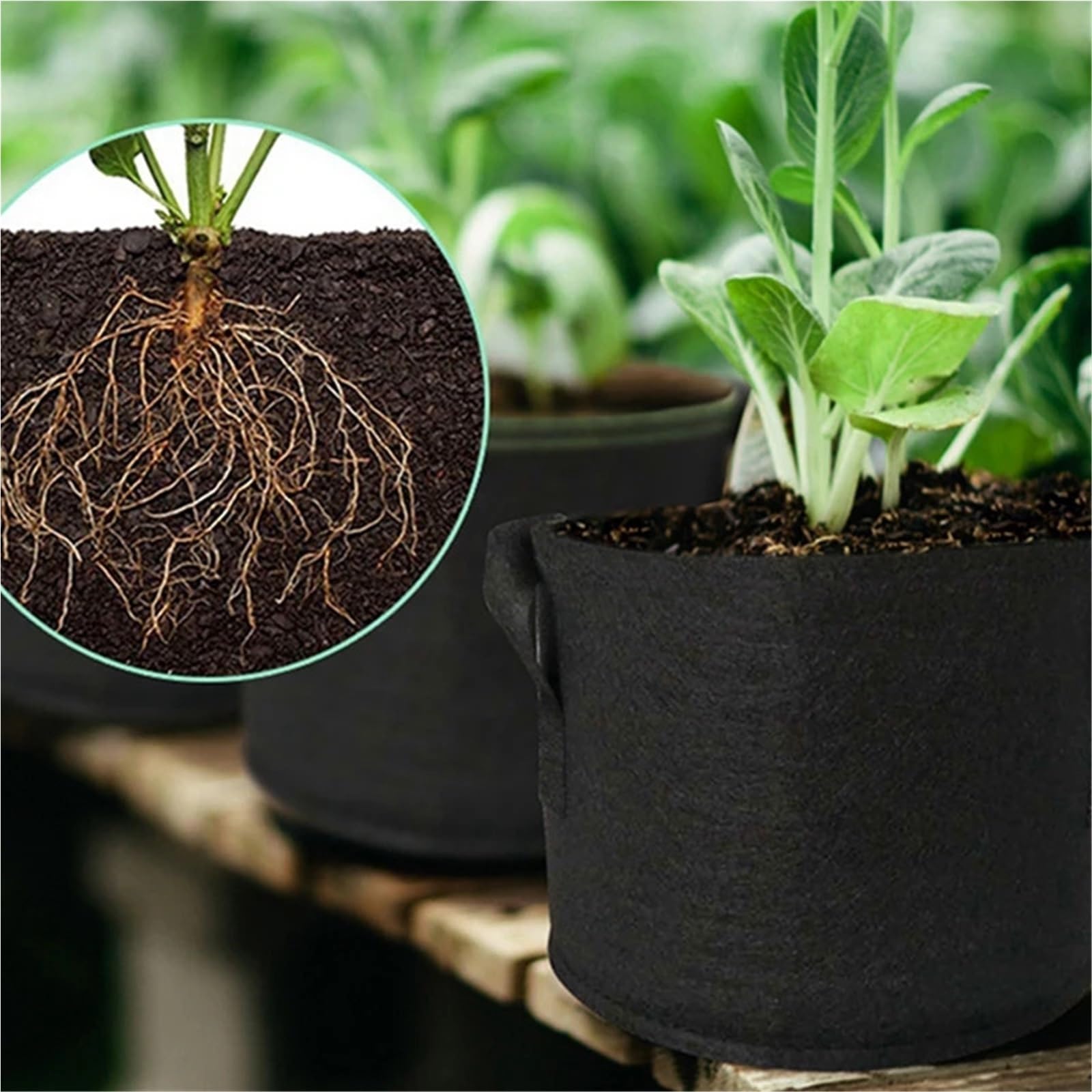 3 pièces 2-50 gallons Feutre de Pomme Terre Plantation légumes Fruits tomates Sac épaissi Non-tissé semis Plantes avec poignées pour Plantes(40 Gallon 70x40cm)