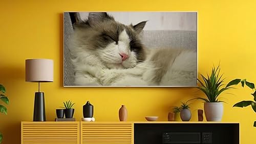 Relaxing Lullaby for Cat and Kitten On Fire TV | NO ADS