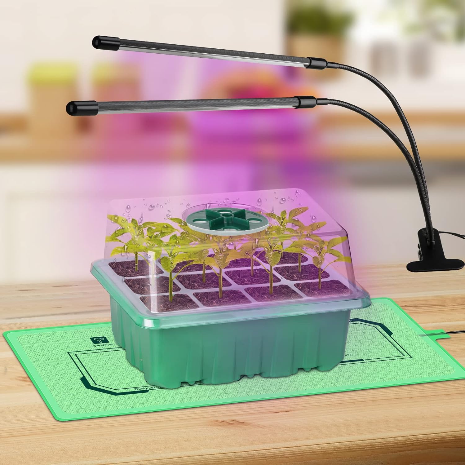YLYYCC Seed Starter Kit with Grow Light,72 Cells Seed Starter Tray with Humidity Dome and Seedling Heat Mat Seedling Starter Trays for Seed Starter,Seed Growing Germination Kit, Plant Propagation Kit