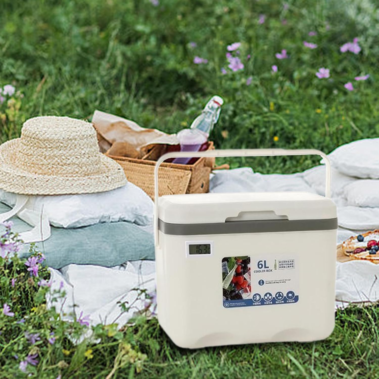 Cooler Box Insulated Box Personal Cold Storage Portable 6L Ice Chest Small Hard Ice Box for Beach Boat Barbecue Camping Food