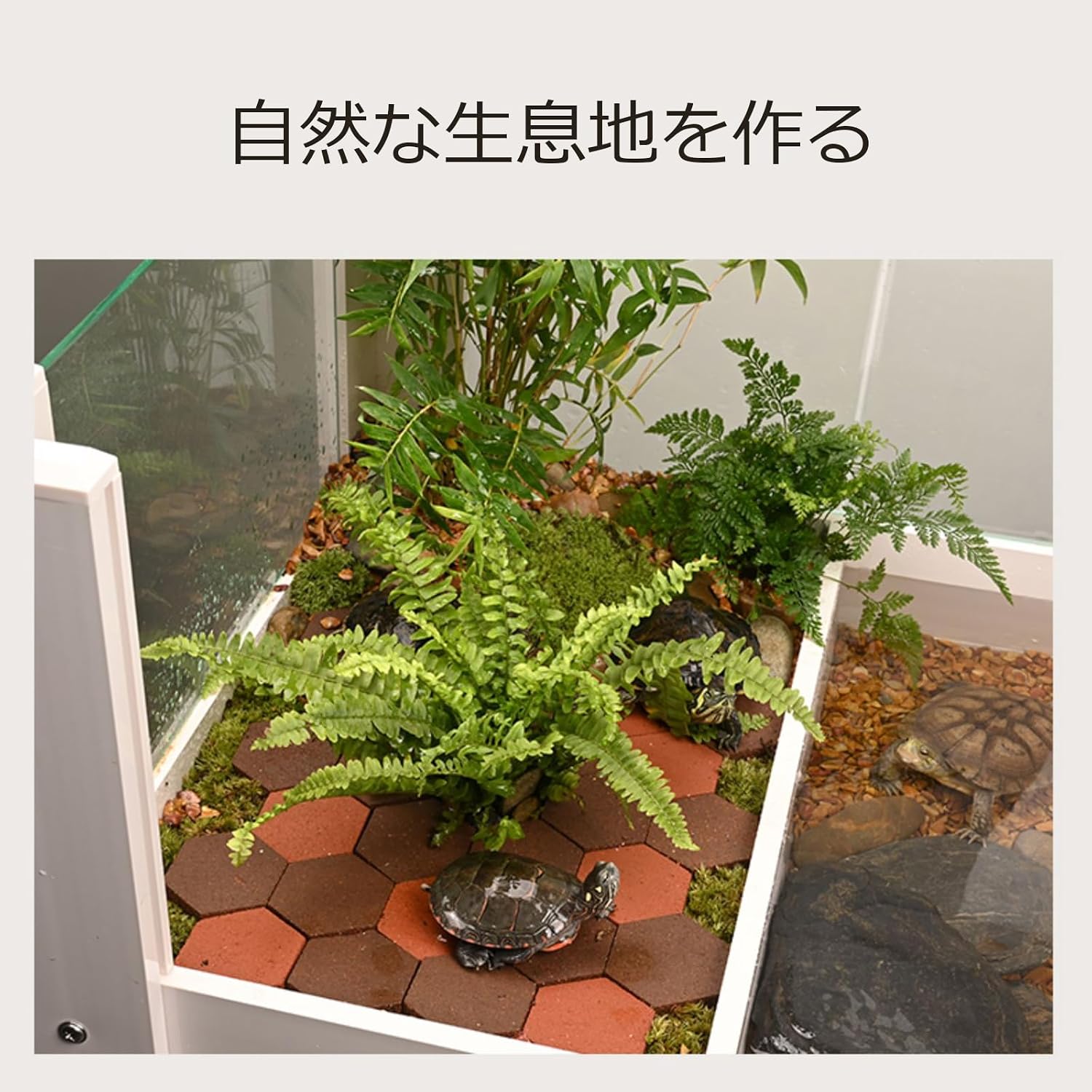 Amazon | 亀 水槽 大きい タートルタンク カメ用水槽 カメ生息地 亀