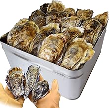 Oyster Grilled Peach Komachi Set, Unsorted Size, 4.4 lbs (2 kg) (30 Pieces), Mini Can, For Heating (Includes Oyster Knife and Gloves for One Hand), Rare Island of Toba, Mie Prefecture, Seafood