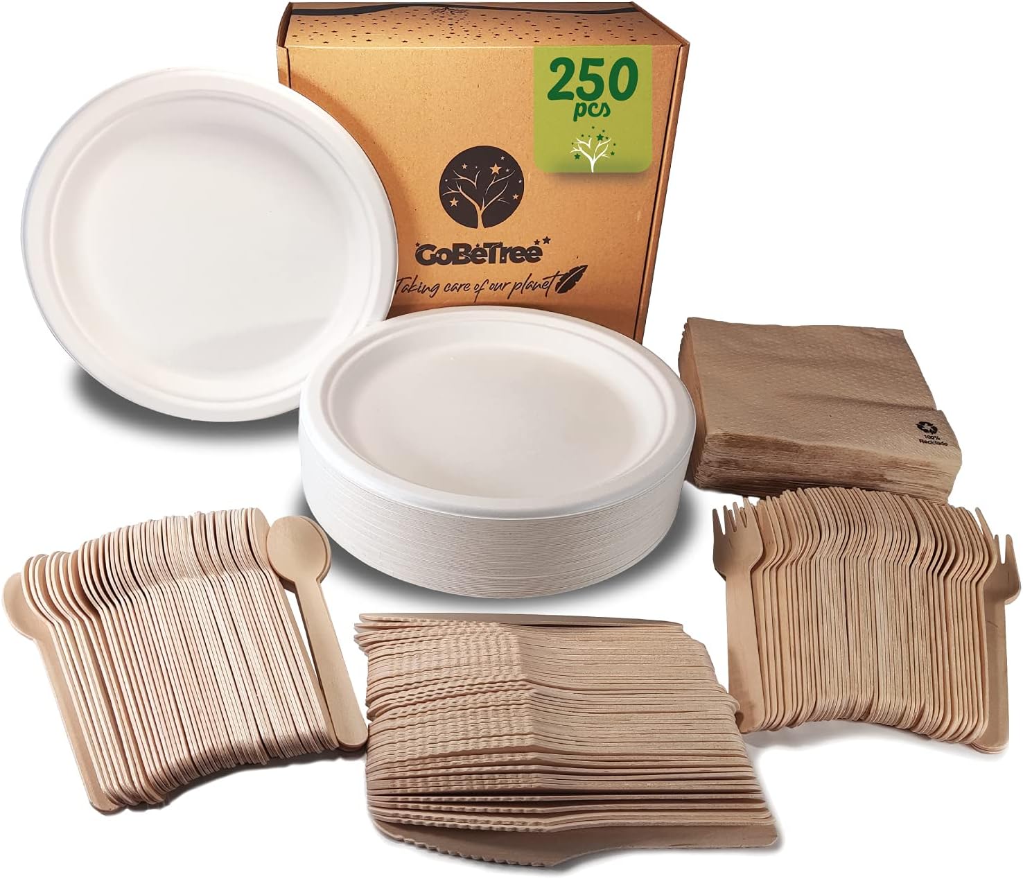 Assiettes Feuille Palmier Naturel Biodégradablesassiettes Rondes 20x2