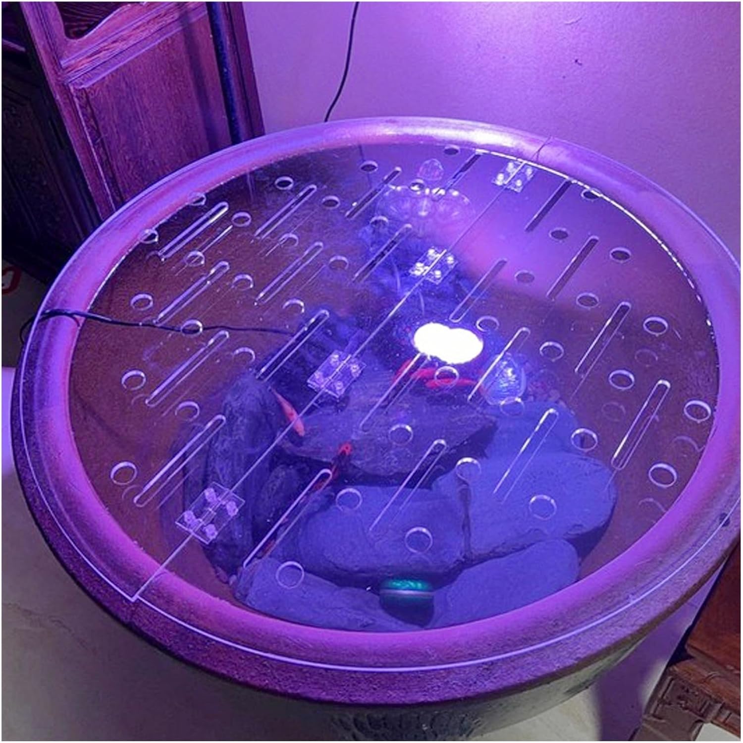 Aquarium Lid 12" 14" 16" 18" 20" 22" 28" 34" 39", Clear Acrylic Fishbowl Anti-Jumping Lids 0.2in THK, for Avoid Cat Catching Fish(39.4"/100cm)
