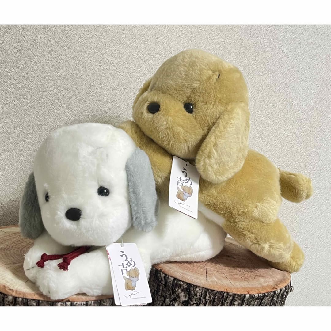 うめ吉 ぬいぐるみ 犬 うめ吉 ホワイト M 犬 ぬいぐるみ 日本製 オリエンタルトーイ