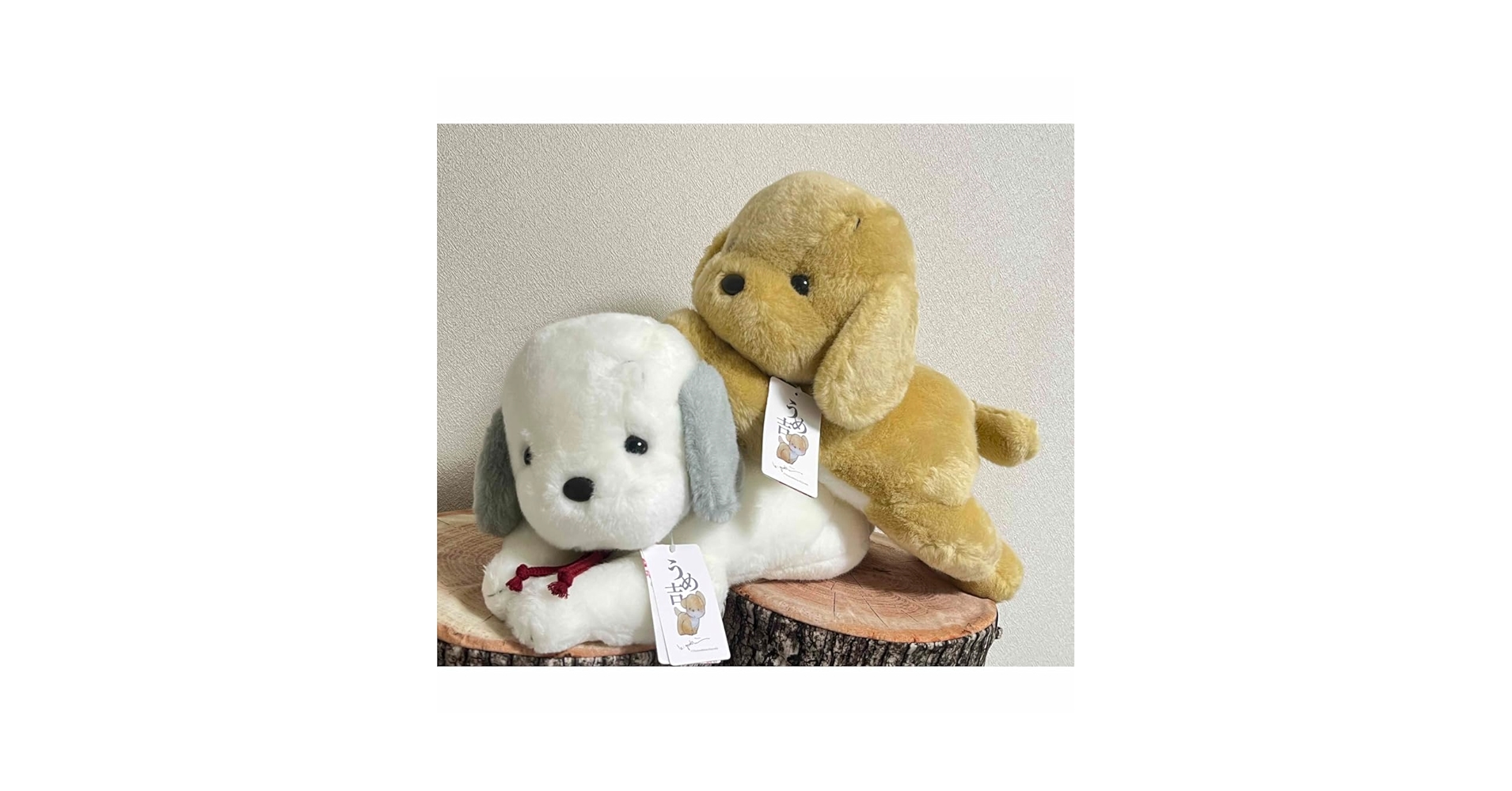 犬の形ぬいぐるみ 3匹セット Amazon.co.jp: GENERATIONS 高校TV おおきめマスコット