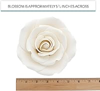 Vista 2 de Global Sugar Art Rose Jumbo - Flores de pastel de azúcar blancas, 5 unidades por el chef Alan Tetreault