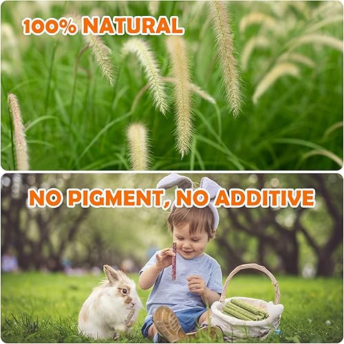 Miniatura 19 de Sofier Timothy - 320 palitos de heno Timothy para conejo, cobaya, hámster, golosinas naturales hechas a mano y masticables para dientes, chinchilla