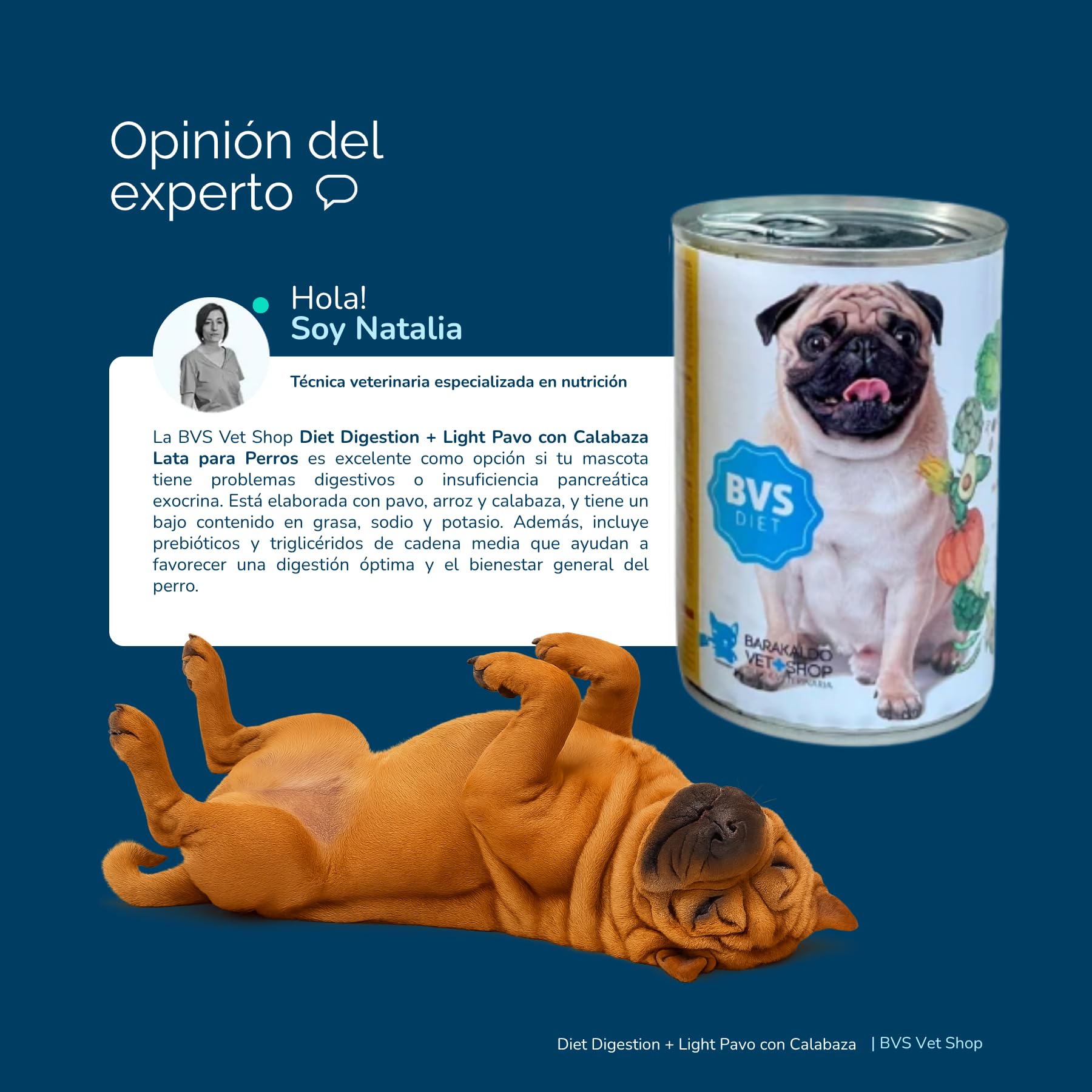BVS Vet Shop | Diet Digestion + Light Pavo con Calabaza Lata para Perros | Alimento dietético Completo para Perros con Malas digestiones o insuficiencia pancreática | 6 unid. x 400 gr