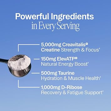 Ora Organic Creatine Monohydrate Powder, Micronized Creatine for Women & Men, German-Sourced Creavitalis for Strength, elevATP for Energy, D-Ribose & Taurine for Recovery, Acai Berry Flavor, 30 Serv