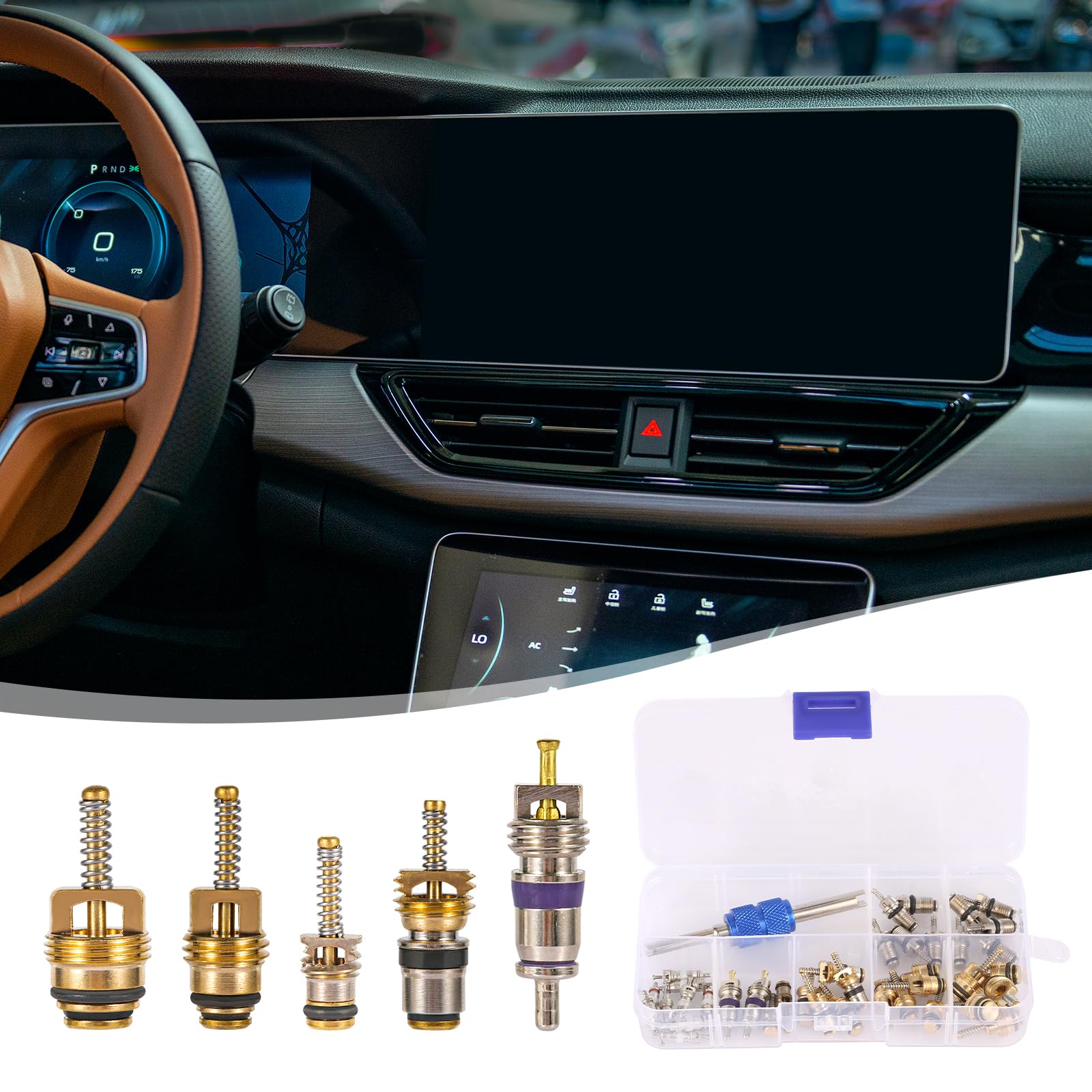 PEUTIER 40 Pzs Kit de Núcleo de Válvula de AC, Núcleo de Válvula de Aire Acondicionado de Coche con Herramienta de Desmontaje Kit de Válvula Schrader A/C R12 R134a para la Mayoría de los Coches