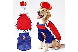 Majestic King Dog Costume: Elevate Your Dog's Royal Presence