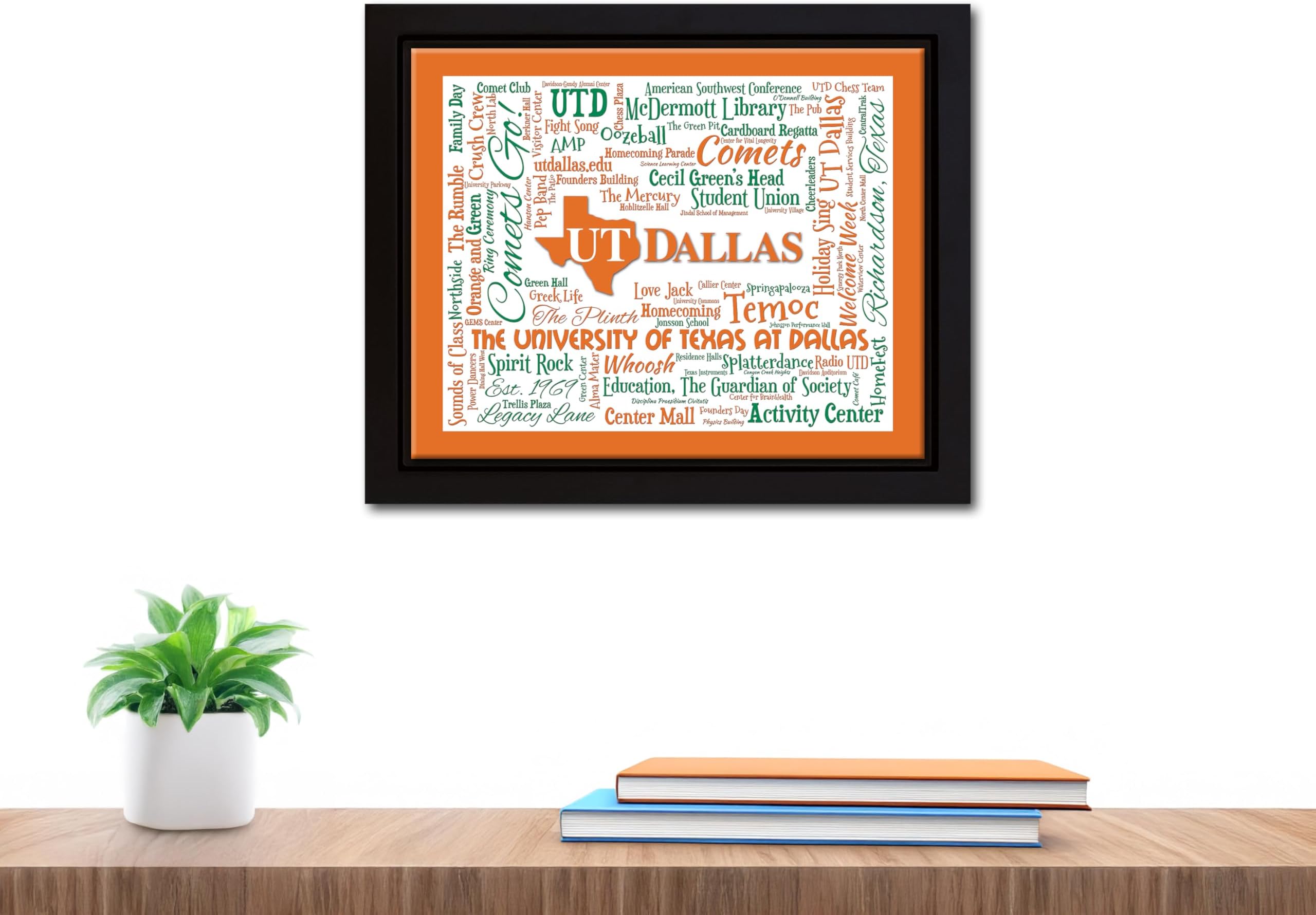University of Texas at Dallas (UTDallas) 16x20 Beautifully Framed Canvas Art Piece