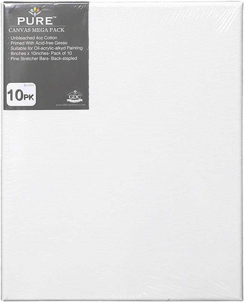 HouseOfZenArt Set of 4 Artist Canvas 5x7 Framed Pre-Stretched Blank Cotton Double Gesso