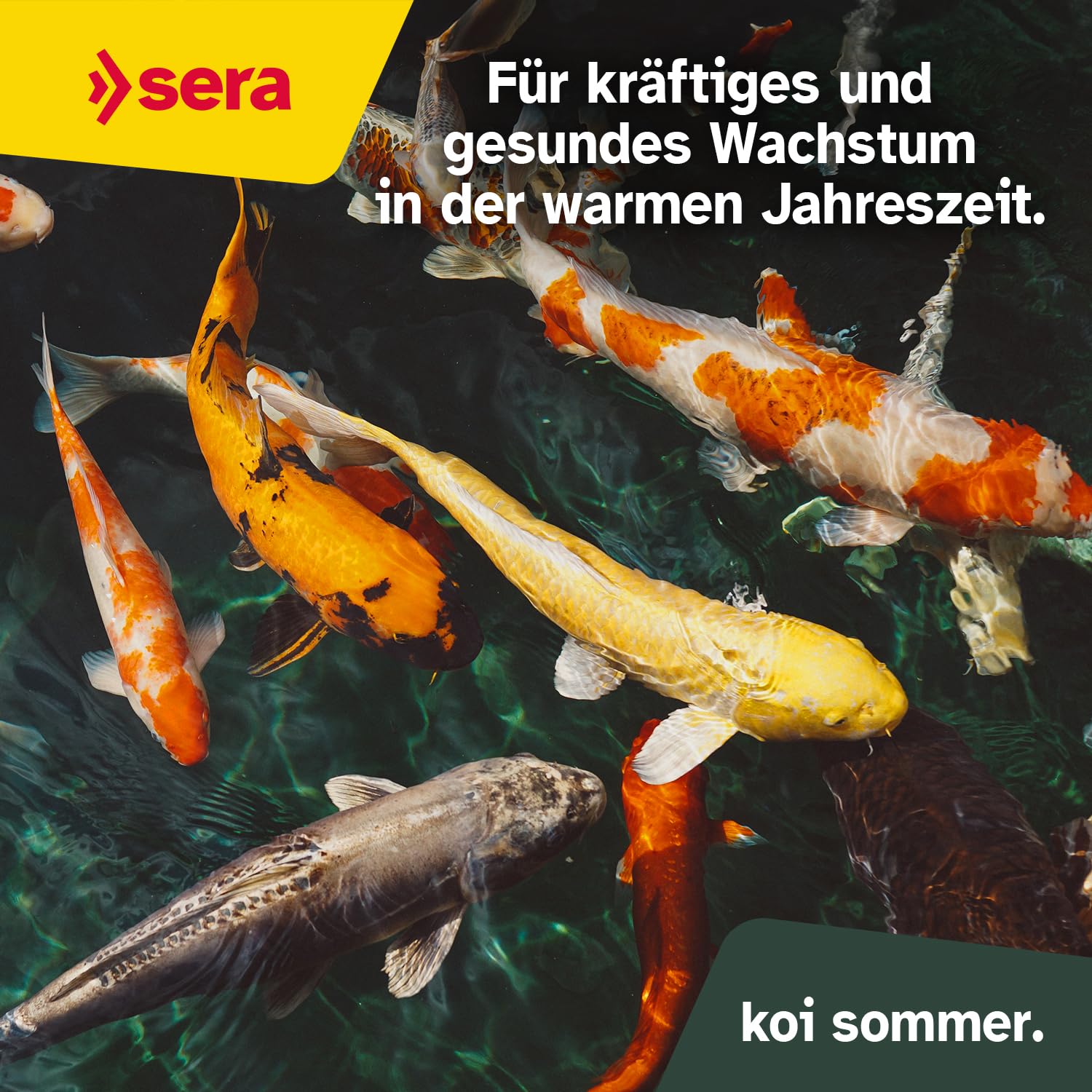 sera Koi Professional Summer 21 L (7 kg) | Energiereiches Fischfutter für aktive Fische im Sommer | Koi Futter für Temperaturen über 17 °C | Koifutter mit Ring-Kern-Pellets | Fischfutter Teich