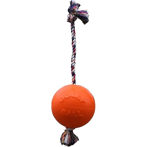 Jolly Pets Romp-n-Roll Rope and Ball Dog Toy, 8 Inches/Large, Orange