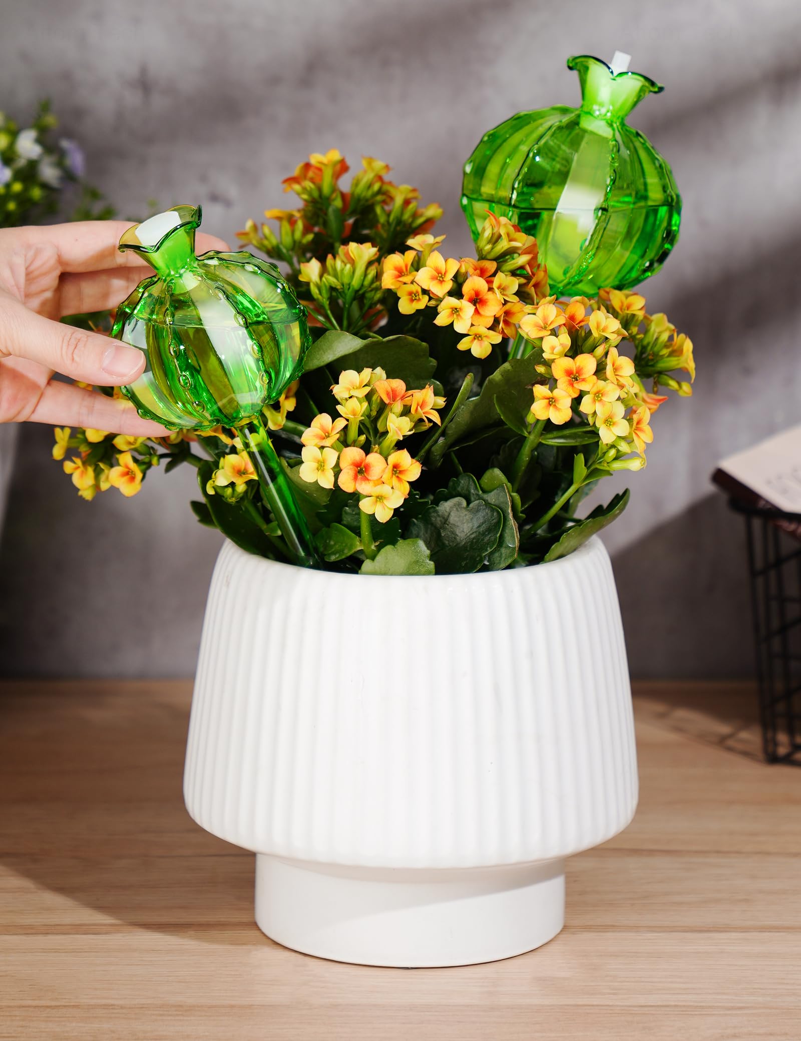NiHome Confezione da 4 globi di irrigazione per piante in vetro, per piante in vaso, in vetro verde, per cactus, sistema di irrigazione automatico, mini sistema di irrigazione automatico, confezione