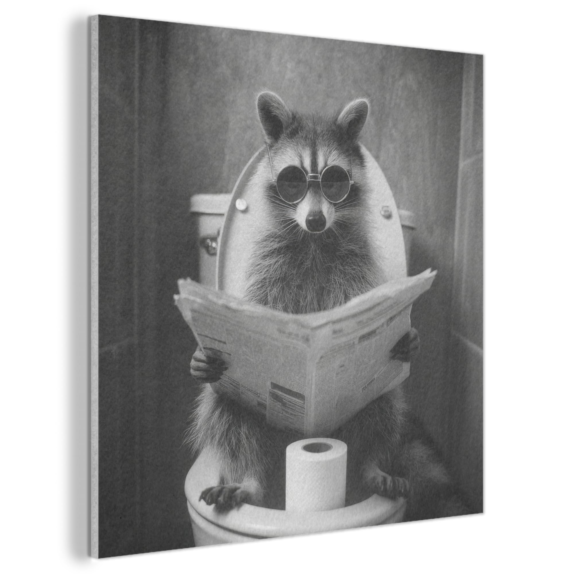 MuchoWow© Felt Panel 80x80 cm Framed Design Print Accent Interior Wallart Decoration Wall Art Newspaper - Raccoon - Toilet - Sunglasses