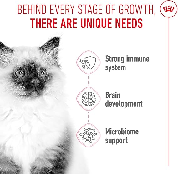 Royal Canin Kitten Kuru Kedi Maması, Yavru Kedi, 4 Kg [Enerji Sınıfı A+]