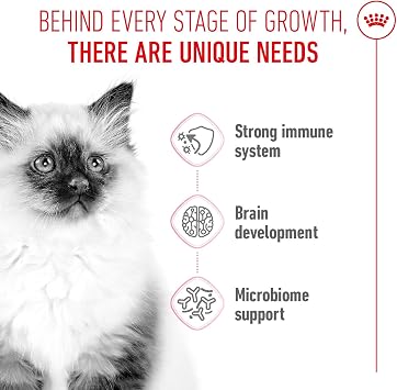 Royal Canin Kitten Kuru Kedi Maması, Yavru Kedi, 4 Kg [Enerji Sınıfı A+]