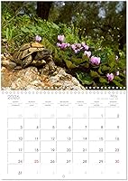 Vista 9 de REPTILES (calendario mensual de pared 2022 11.7 x 16.3 in (abierto)