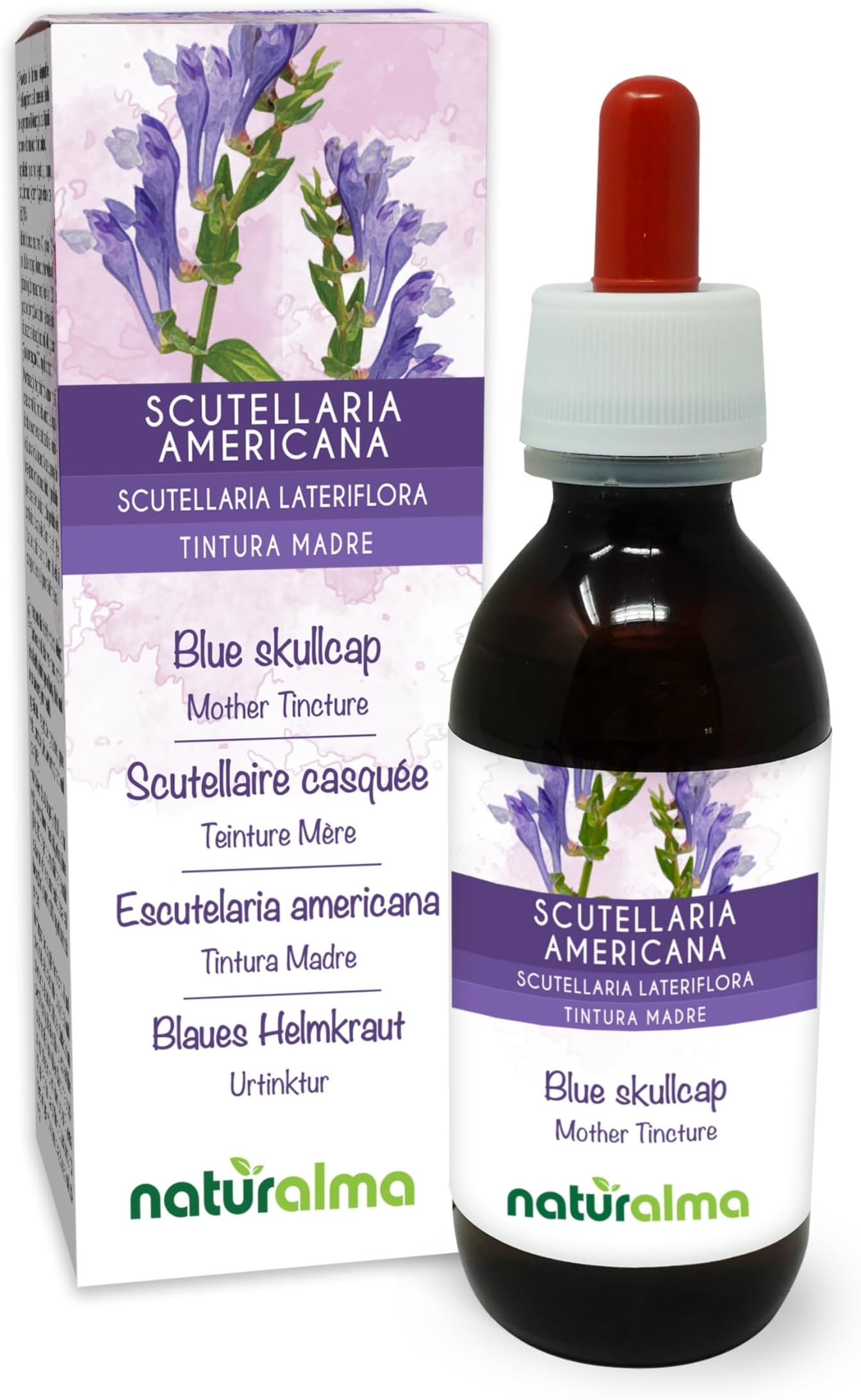Blue Skullcap or Virginian Skullcap (Scutellaria lateriflora) herb Alcohol-Free Mother Tincture Naturalma - Liquid Extract Drops 120 ml - Food Supplement - Vegan