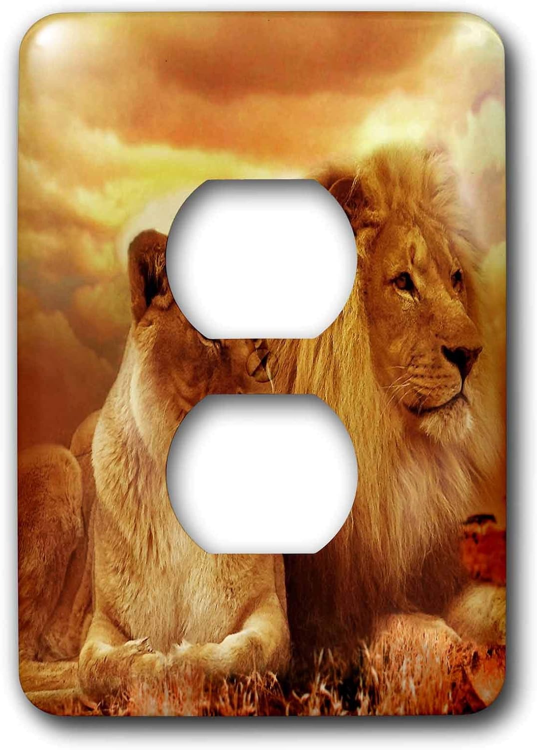 3dRose Beautiful Lion and Lioness Couple Wildlife Photography 2 plug outlet cover