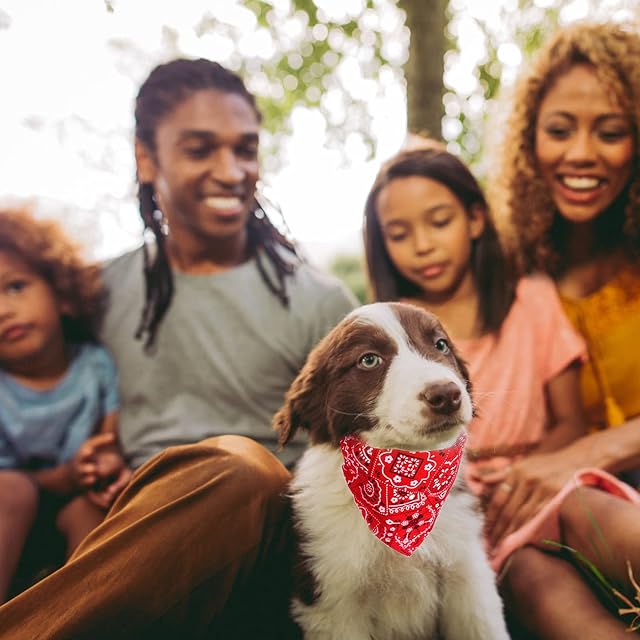 Foto 7 de 7 de HACRAHO Collar de bandana para perro, 4 piezas con hebilla ajustable