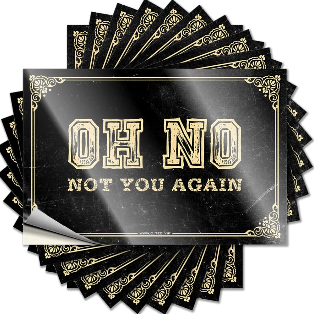 JNBT Oh No Not You Again Decals - With Door Peel And Stick Laptop For Woman