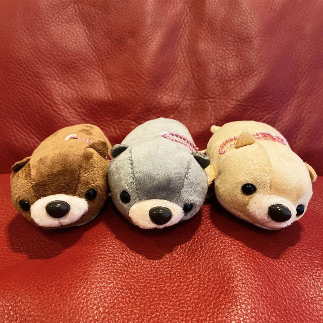カワウソ三兄弟ぬいぐるみ Amazon.co.jp: カワウソ兄弟 ぬいぐるみ マスコット 全3種セット 約
