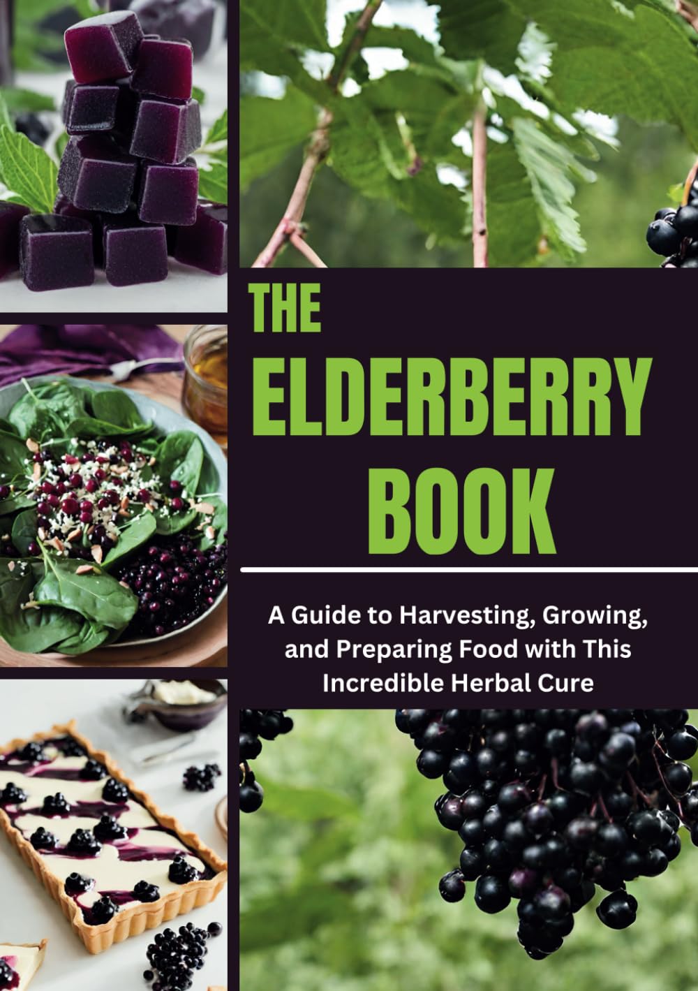 THE ELDERBERRY BOOK: A Guide to Harvesting, Growing, and Preparing Food with This Incredible Herbal Cure