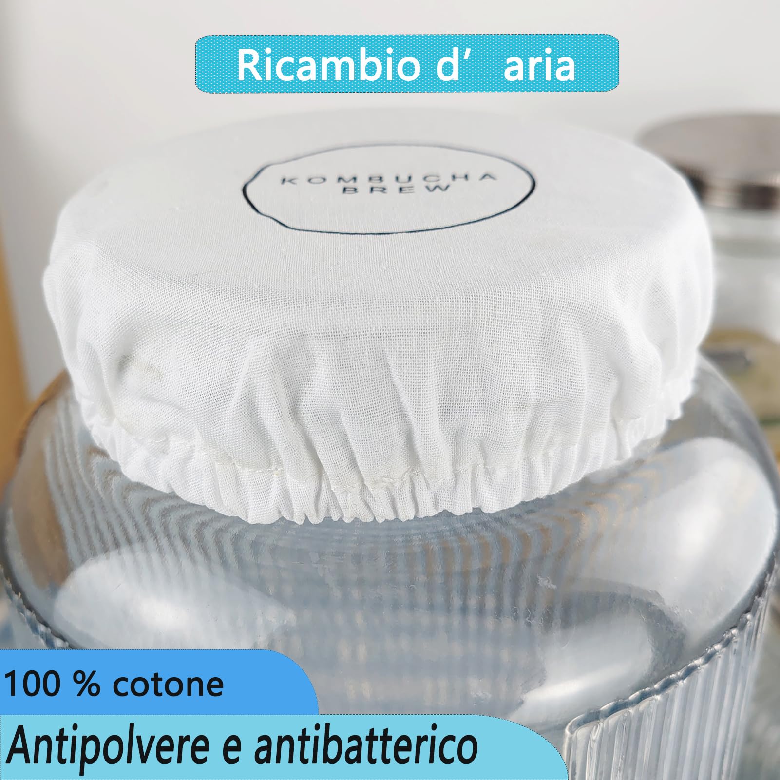 Kit de Démarrage Kombucha et Jun avec Bocal en Verre 5,5L, Robinet Inox, Accessoires de Fermentation Continue, Bandelettes pH, Thermomètre, Housse, Entonnoir et Filtres