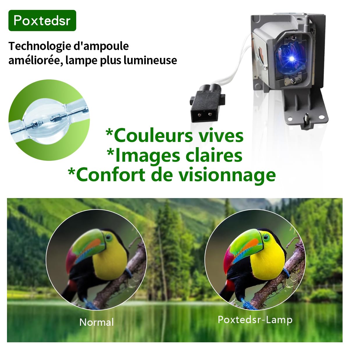 BL-FU195C/SP.72J02GC01/BL-FU195A/SP.72G01GC01 - Lampada di ricambio per proiettore compatibile con OPTOMA DH1009i HD137X HD140X HD142X HD240W HD240Wi HD26Bi HD27 HD270 422X DHDNT, con custodia