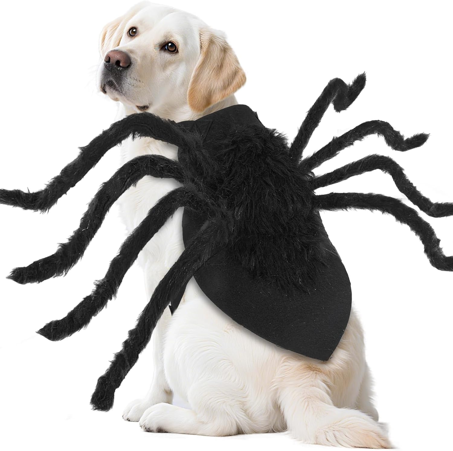 Costume d'araignée d'Halloween pour chien XL : déguisement confortable