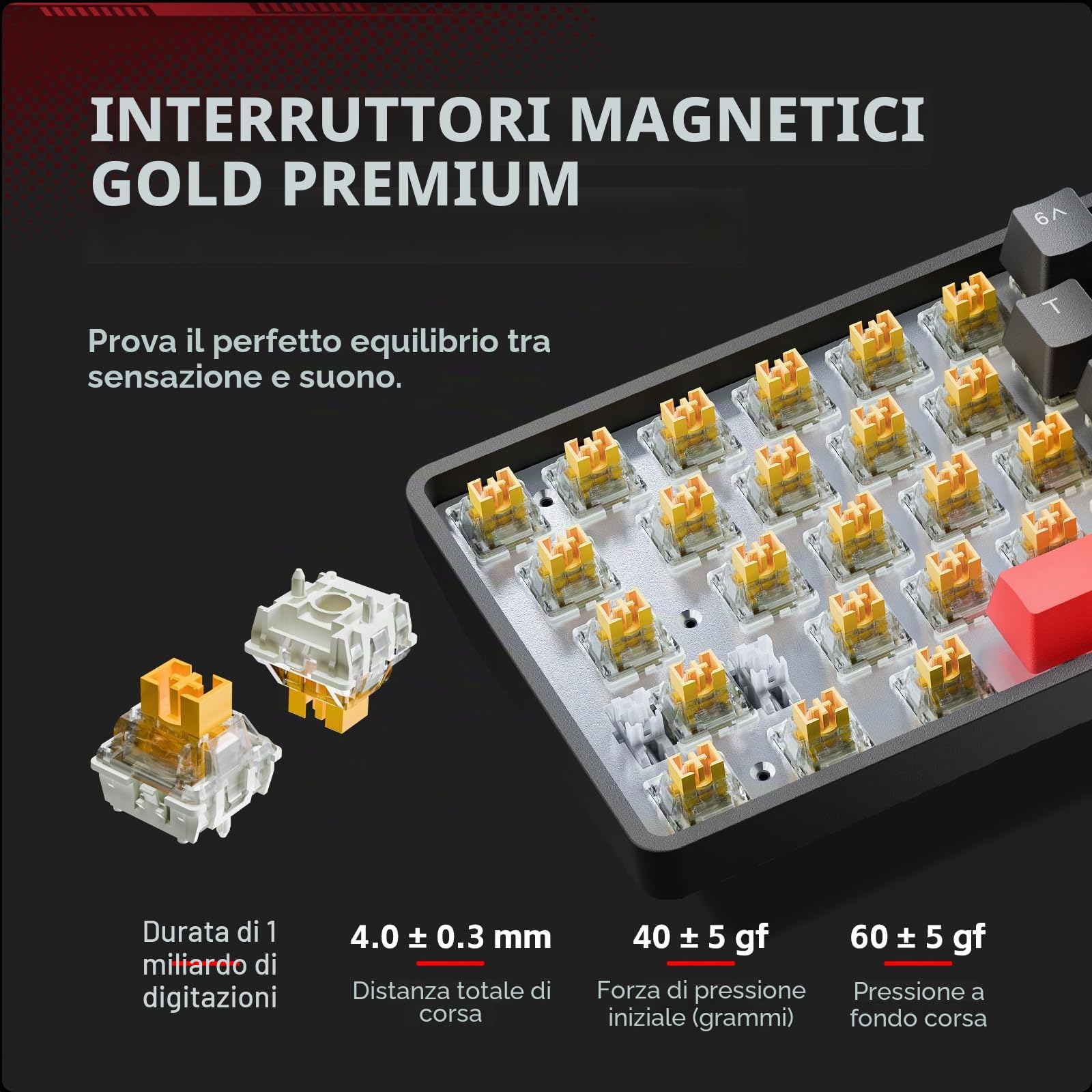 TMKB T68 Tastatura Meccanica Gaming Rapid Trigger con Interruttori Magnetici,Retroilluminazione RGB, Cablata Type-C,Compatta 68 Tasti,Anti-Ghosting,Compatibile con Windows/Mac/Linux,US Layout,Nero