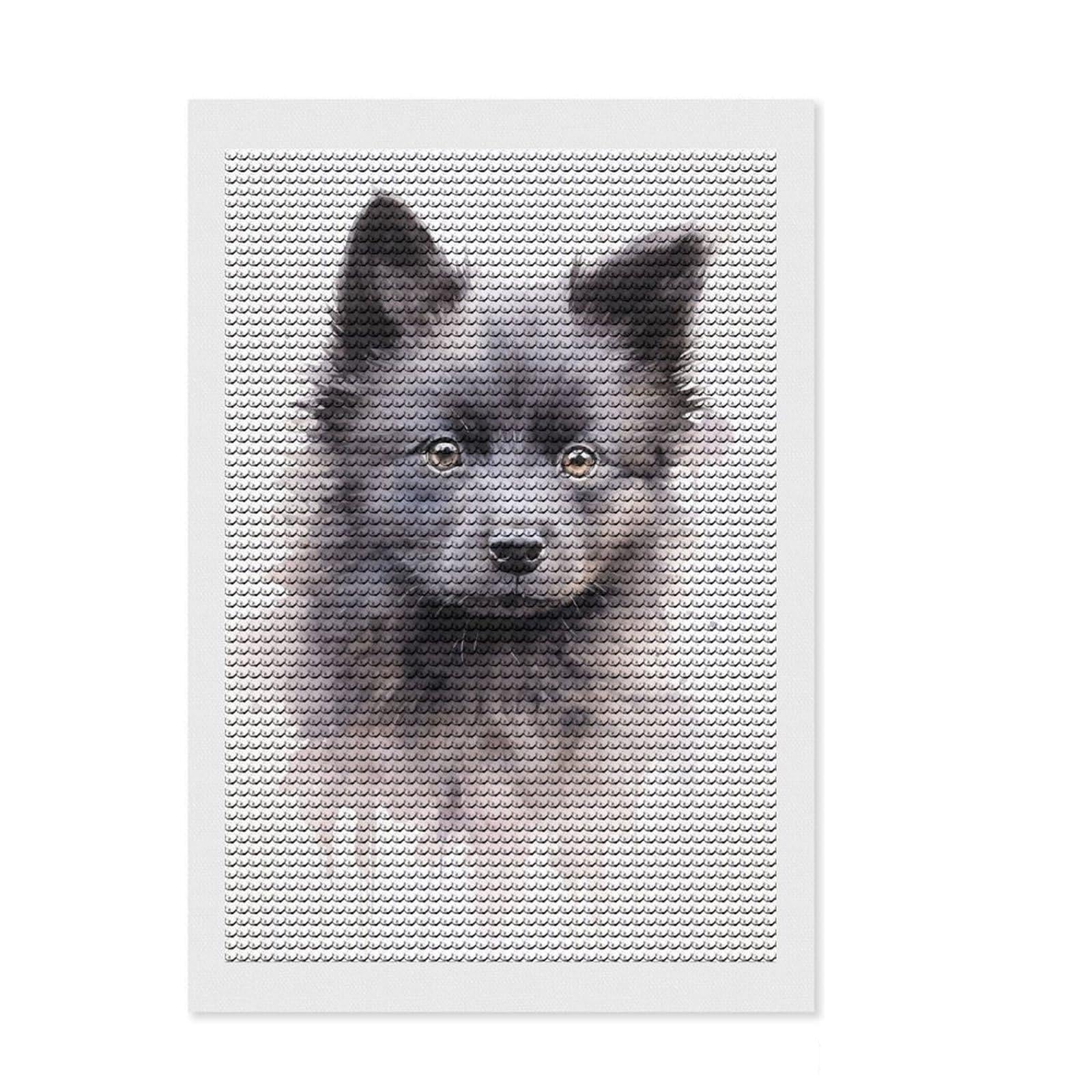 Junmoney Schipperke Watercolor Diamond Art Kit 8"x12", Simple to Start, with Tool Kit, Boho Decor, Gift Idea, Easy to Enjoy, Printed Canvas